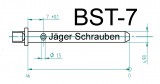 Titan (Ti6Al4V) - Bremsbelagstift Sonderfarben